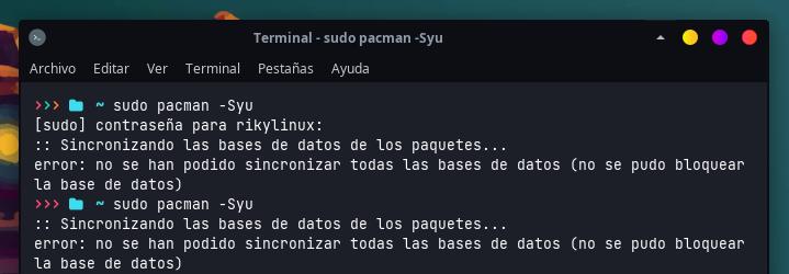 Captura de la terminal del sistema archcraft, con un erro bastante común cuando uno intenta actualizar. El msj dice:
error: nose puede sincronizar la base de datos 