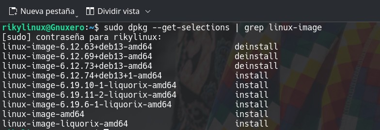 limpieza de Kernel